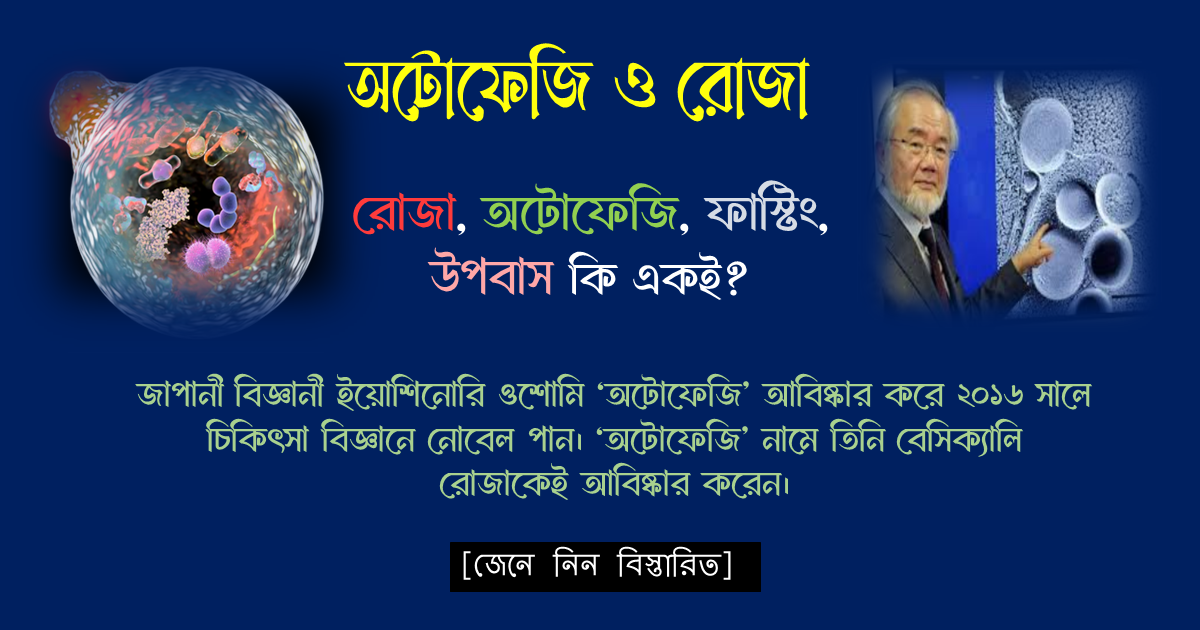 অটোফেজি ও রোজা